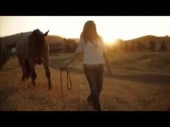 Ariat Ladies Fatbaby Boots -Vevo Shop 0 12