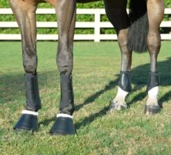 EquiFit Essential Bell Boots W/Sheepswool -Vevo Shop TE026835 02