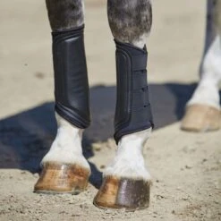 Weatherbeeta WB Single Lock Brushing Boots -Vevo Shop TE030415 826809