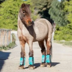 Kensington Bubble Fly Boots Pony -Vevo Shop TE034206 865326