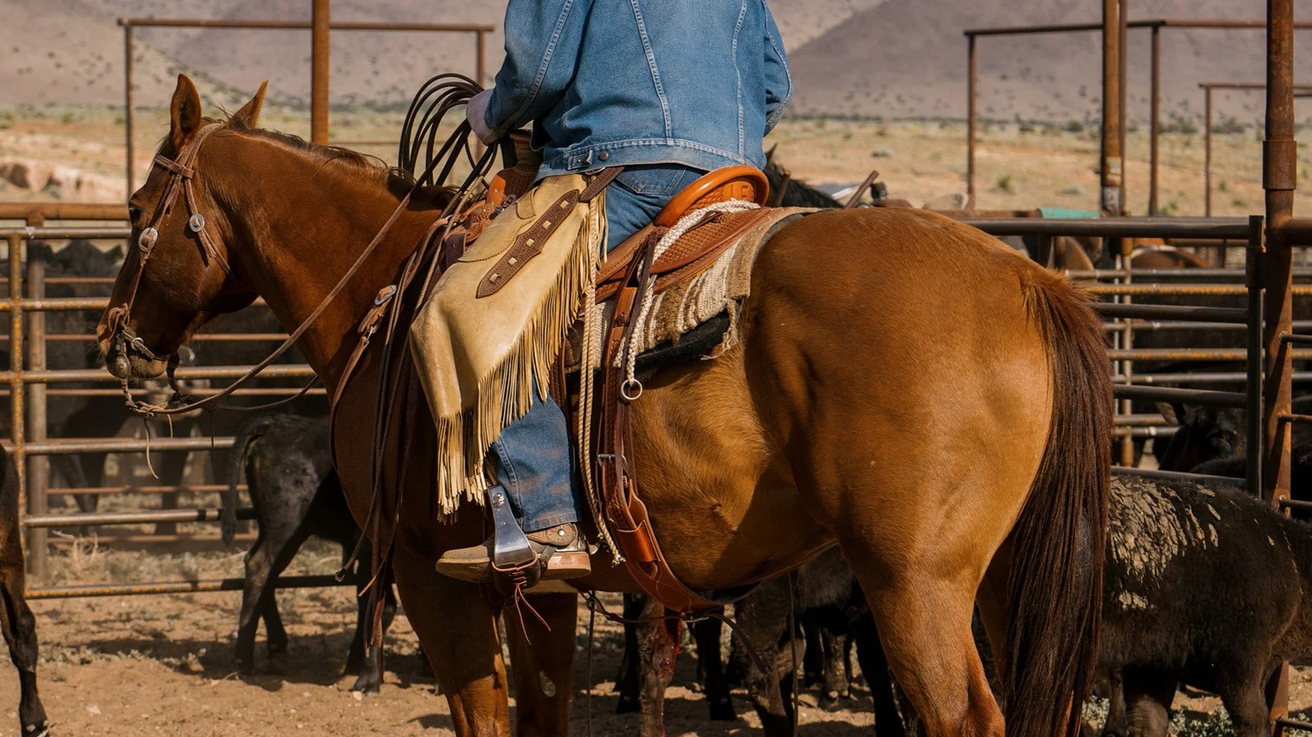 Vevo Shop -Vevo Shop DSC02976