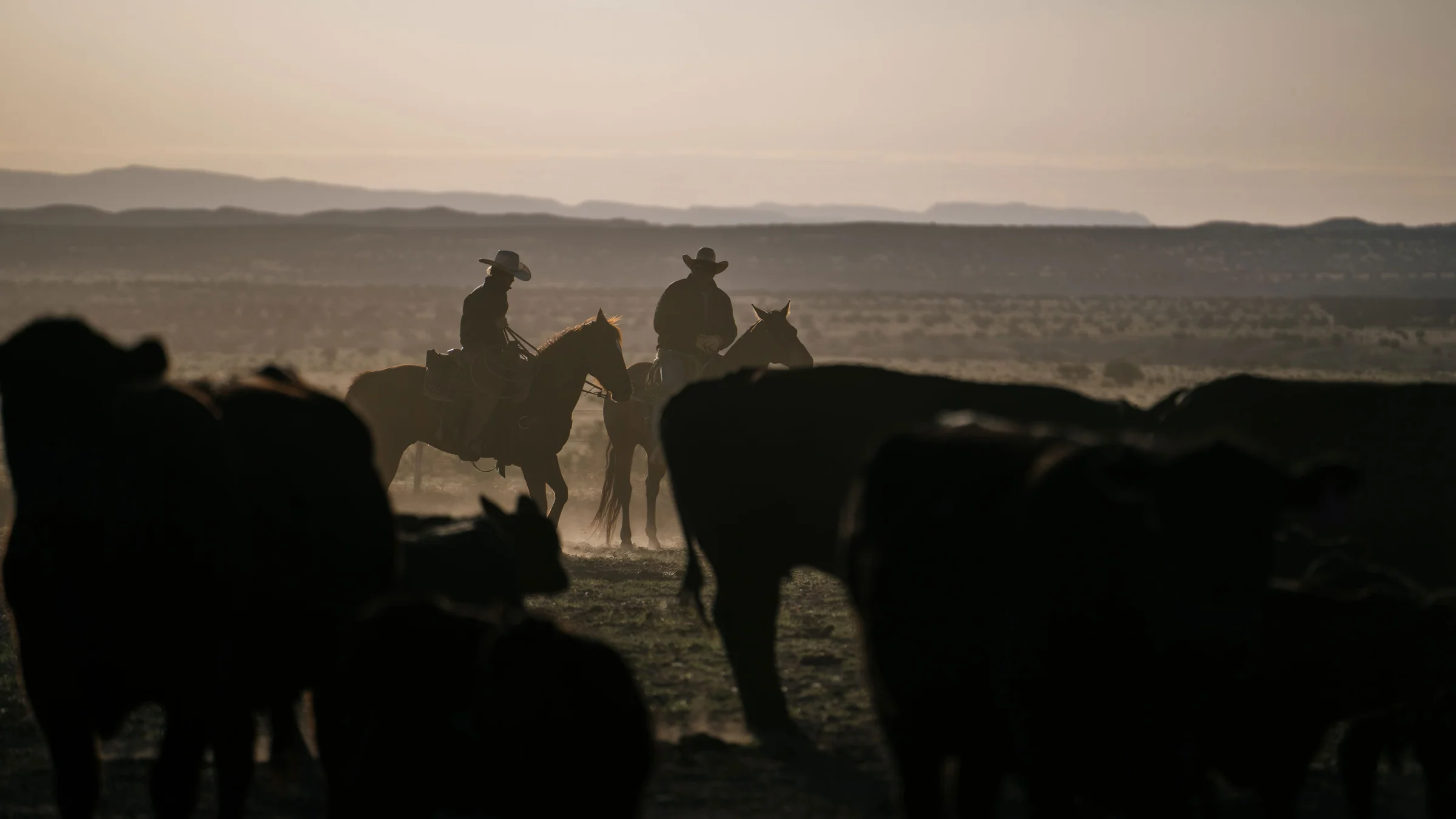 Vevo Shop -Vevo Shop DSC09616 compressed