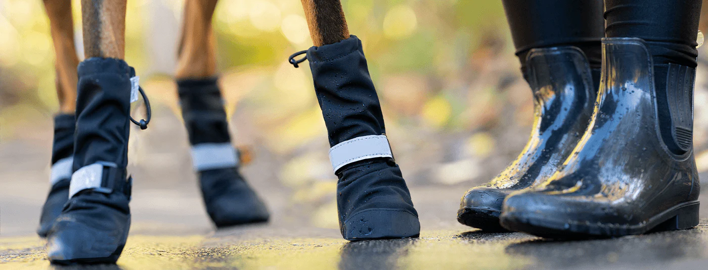 Vevo Shop -Vevo Shop